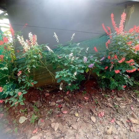 Munnar Home Stay Teadrops Plantation Villa Exterior foto
