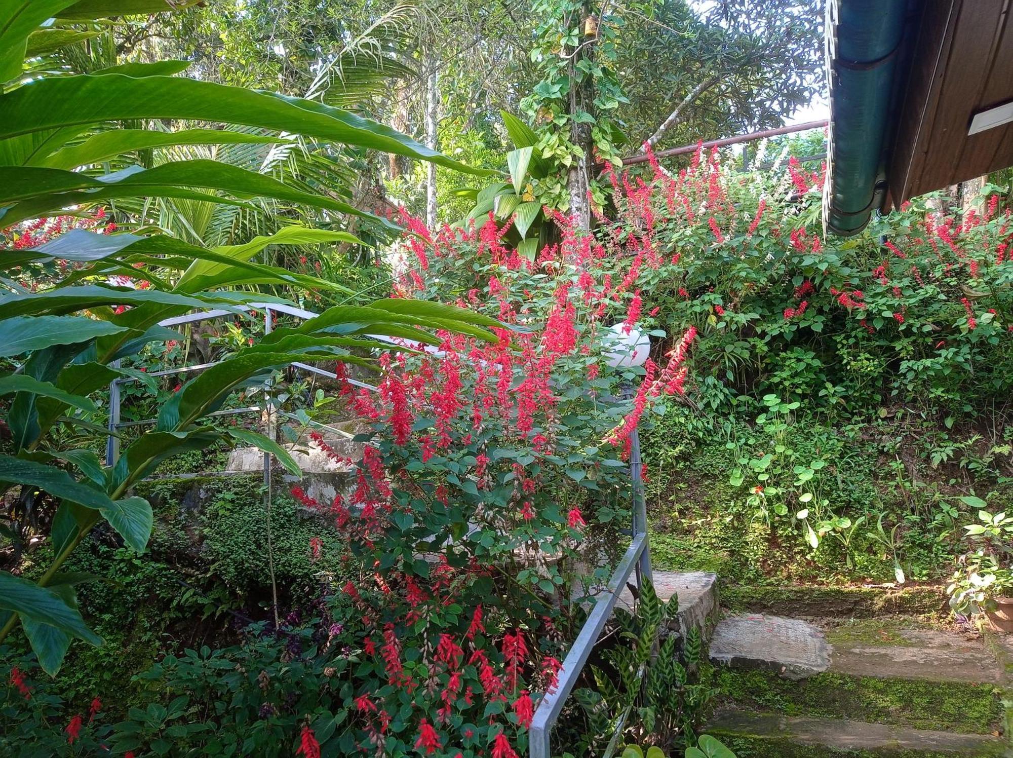 Munnar Home Stay Teadrops Plantation Villa Exterior foto